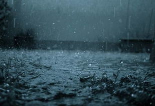 四川再迎来一轮高温降雨 攀西地区有中到暴雨