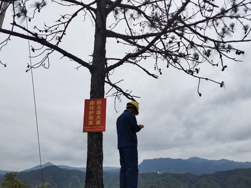 战 火