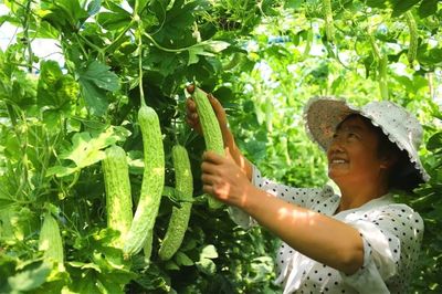 实至名归!阳光米易蔬菜入选省级特色农产品优势区!