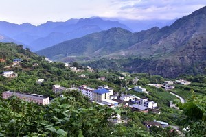 四川攀西秘境--百灵山涧择木龙