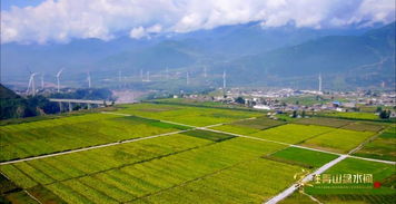 家在青山绿水间 行走在铂金十年的美丽乡村
